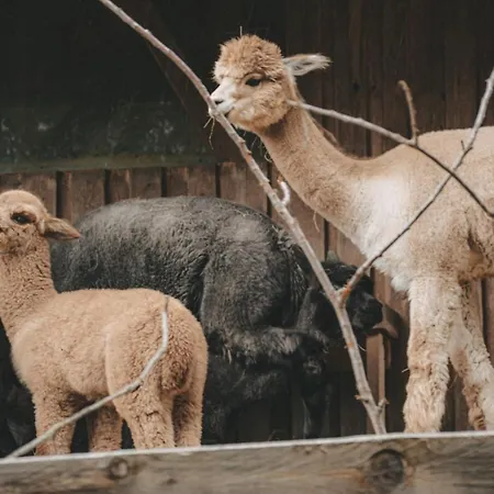 Apartamento Huettendorf Schloegelberger Sankt Margarethen im Lungau
