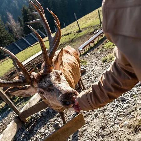 Huettendorf Schloegelberger Lejlighed *